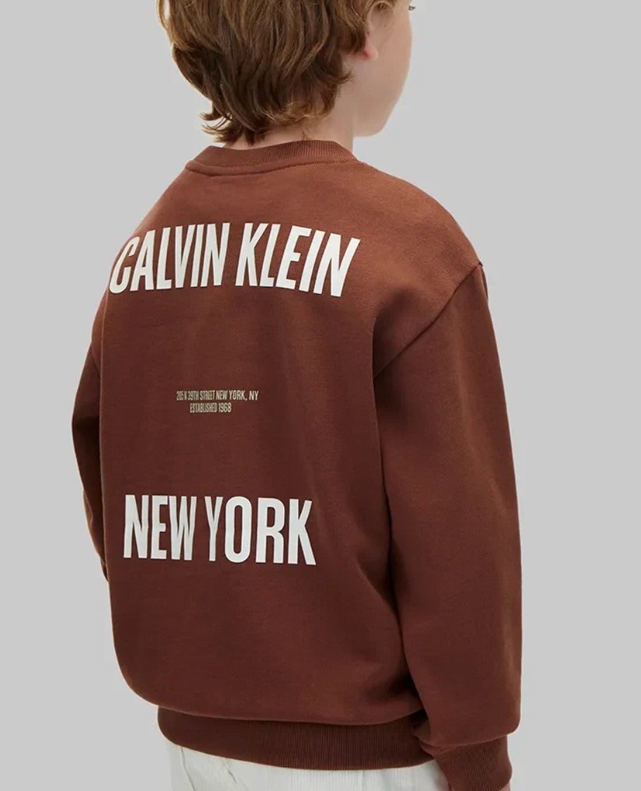 Felpa marrone Calvin Klein