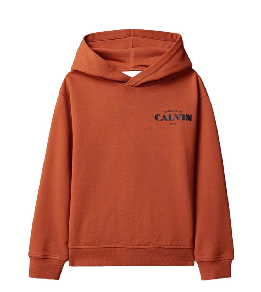 Felpa con cappuccio Calvin Klein