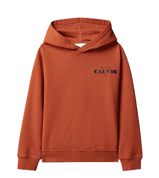 Felpa con cappuccio Calvin Klein